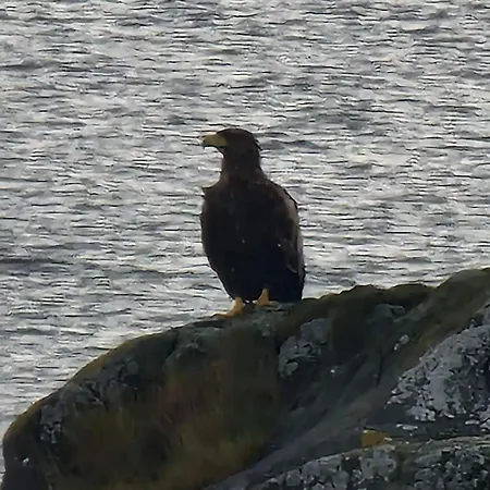 Stort Hus Ved Sjokanten * Karlsøy